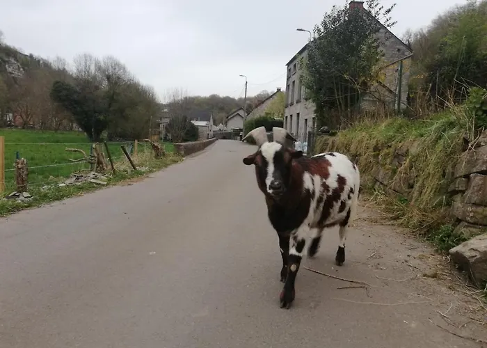 Casa vacanze Thon Chez Toi Andenne